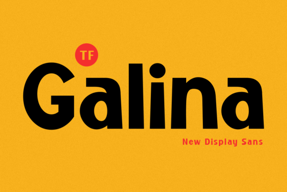 Galina Font: Where Contemporary Design Meets Vintage Warmth