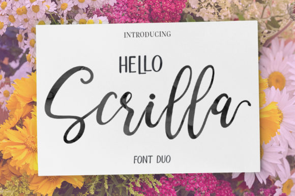 Hello Scrilla Script Font: A Versatile Duo for Modern Design